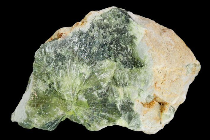 Radiating, Green Wavellite Crystal Aggregation - Arkansas #127128